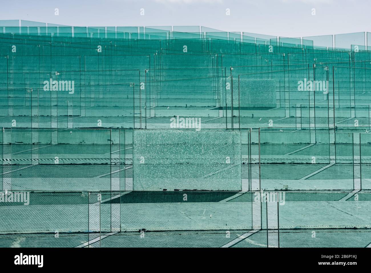 verre fissuré parmi les feuilles de verre transparent trempé vert Banque D'Images