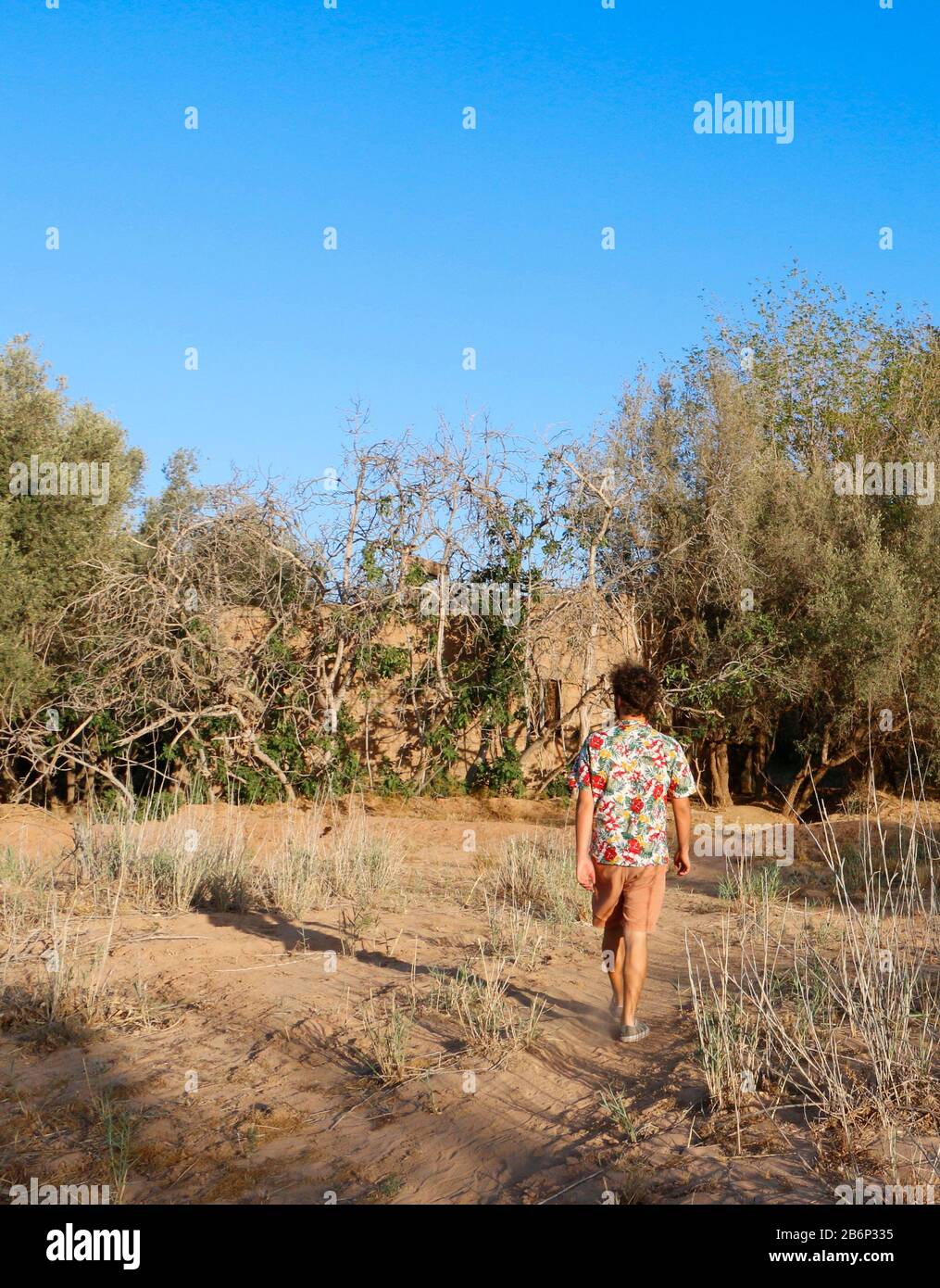 Personne marchant dans une oasis marocaine Banque D'Images