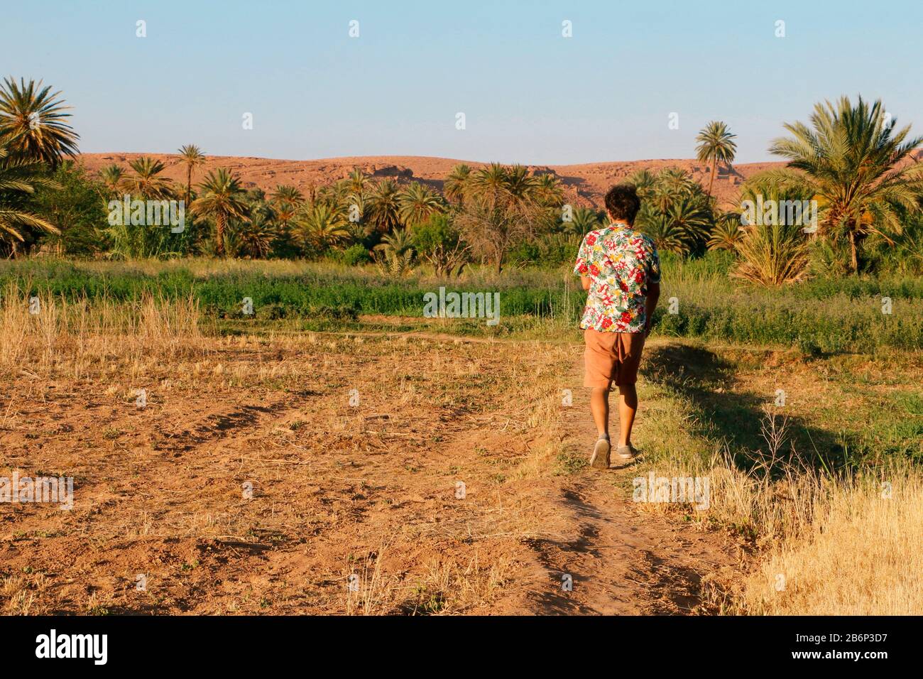 Homme dans une oasis marocaine Banque D'Images