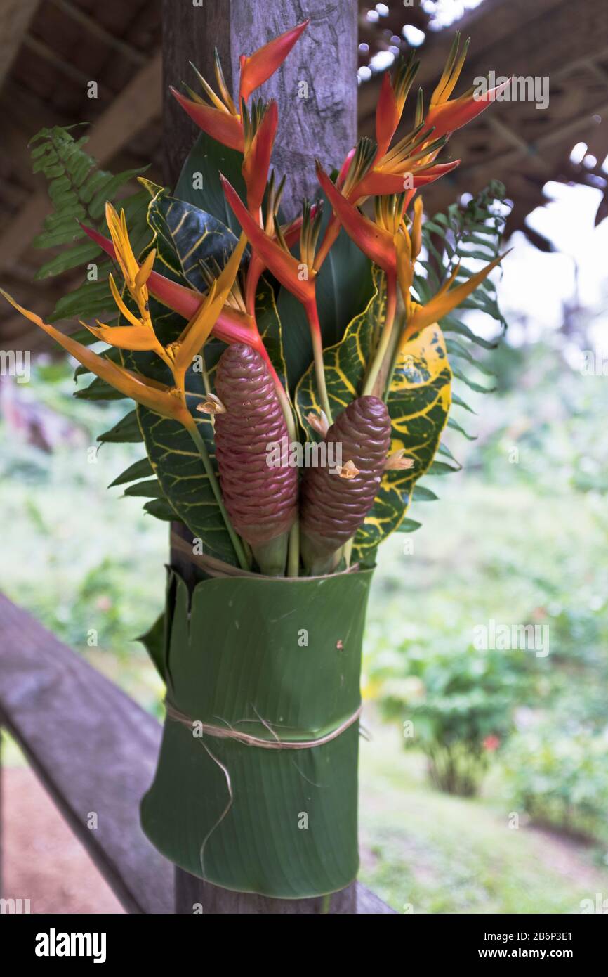 dh PNG guerre canoë hangar ALOTAU PAPOUASIE NOUVELLE GUINÉE flore décorée post fleurs tropicales Banque D'Images
