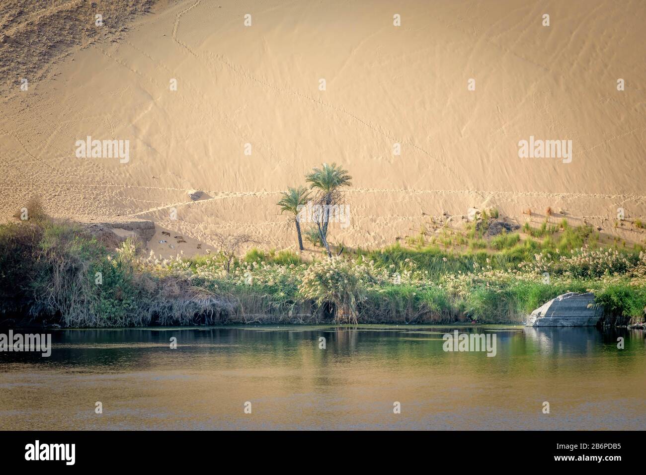 Le Nil à Assouan avec un fond de dunes de sable et de palmiers et de roches Banque D'Images