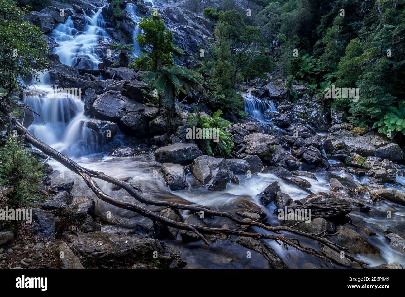 Chutes De St. Columba, Tasmanie Banque D'Images