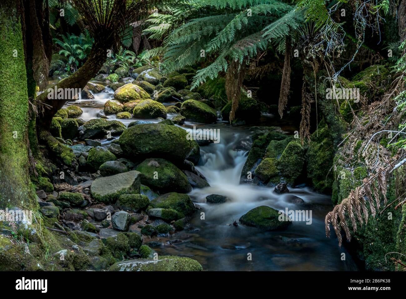 Chutes De St. Columba, Tasmanie Banque D'Images