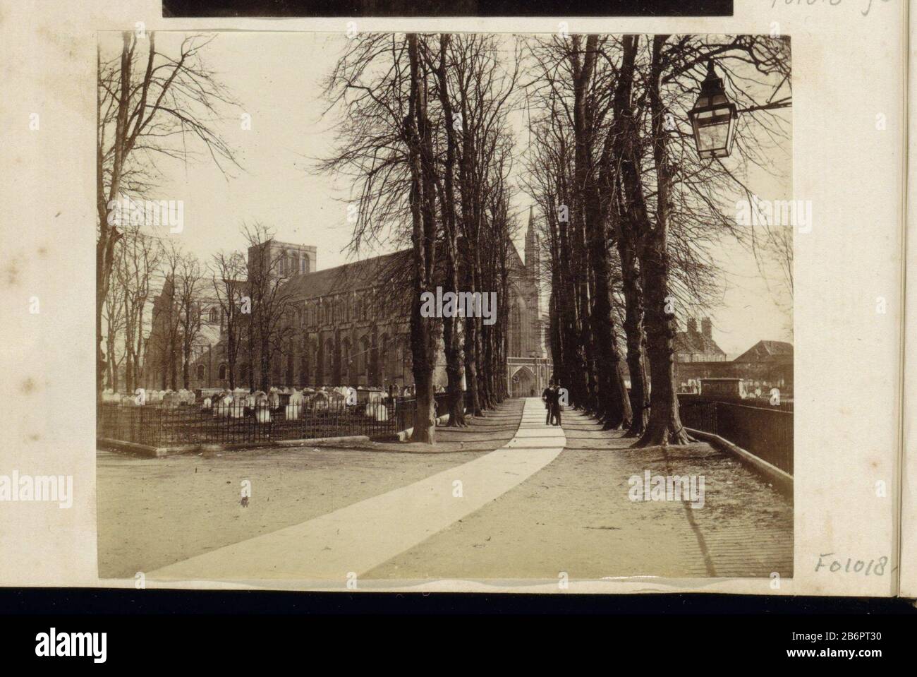 Gezicht op de begraafplaats en de kathedraal van Winchester, op de voorgrond een laan partie de l'album familial anglais avec des photos de personnes, de voyage, de cricket et de kunstwerken. Fabricant : Photographe: Fabrication anonyme: Cathédrale de Winchester En Date du: CA. 1860 - ca. 1870 Caractéristiques physiques: Albumen matériel d'impression: Papier photographique technique: Albumine dimensions de pression: H 90 mm × W 112 mm Objet: Façade (ou maison ou bâtiment) église (extérieur) cimetière, parc- comme pierre tombale, allée arbre où: Cathédrale de Winchester Banque D'Images