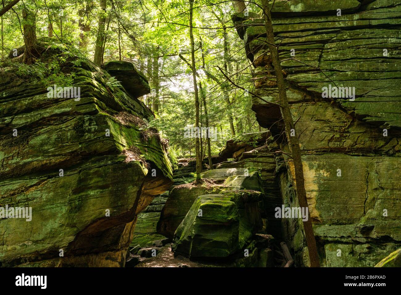 Anciens rochers et couverture d'arbres dans le parc national de la vallée de Cuyahoga, Ohio Banque D'Images