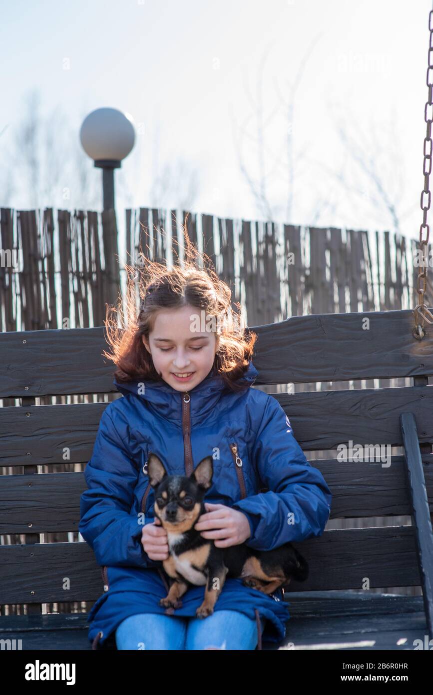 Petite fille avec un chiot chihuahua au coucher du soleil. Un chiot entre les mains d'une fille. Fille tenant chihuahua. Fille avec son animal de compagnie Banque D'Images