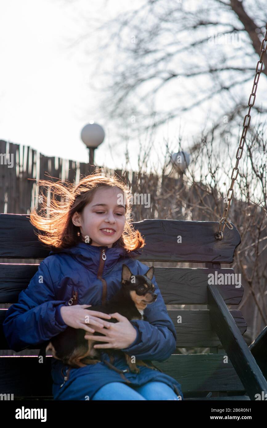 Petite fille avec un chiot chihuahua au coucher du soleil. Un chiot entre les mains d'une fille. Fille tenant chihuahua. Fille avec son animal de compagnie Banque D'Images