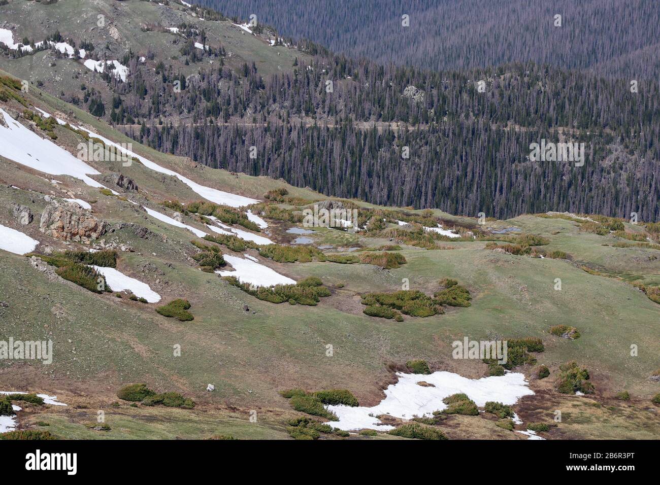La neige couvrait les montagnes du Colorado en été Banque D'Images