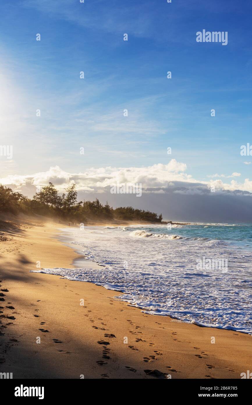 États-Unis D'Amérique, Hawaï, Île De Maui, Baldwin Beach Banque D'Images