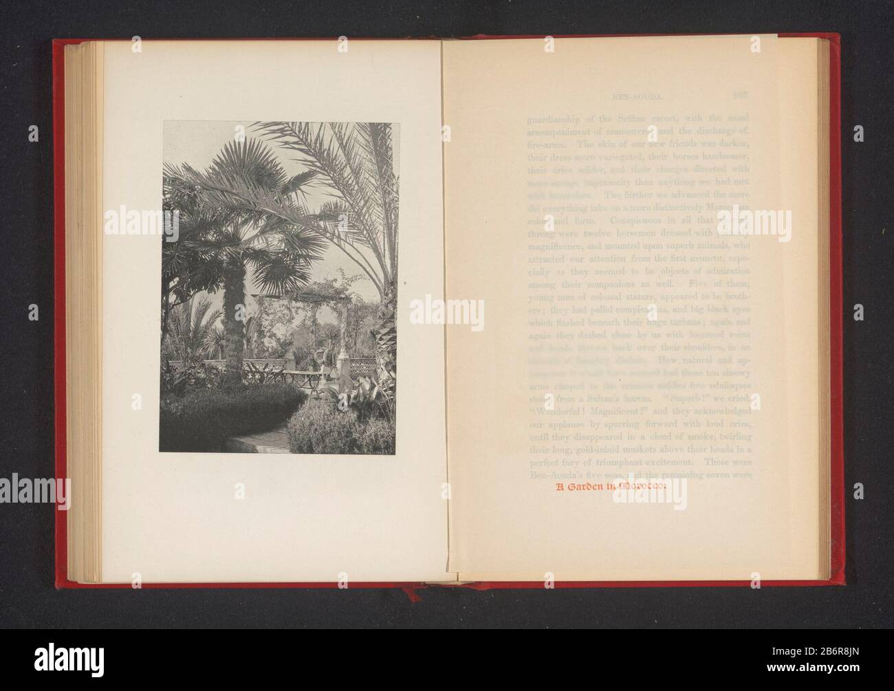 Gezicht op een tuin met een prieel te Marokko vue d'un jardin avec un belvédère au Maroc Type de bien: Impression photomécanique Numéro d'article: RP-F 2001-7-56DA-18 Inscriptions / marques: Titre, à travers le tirage, imprimé: 'Un jardin au Maroc.' Manufacture Créateur: Photographe: Hazzard & Stabachichéclébo WH: Gilycemer: A. W. Elson & Co.Plaats fabrication: Photographe: Marokkoclichémaker: Boston Date: CA. 1887 - ou pour 1897 matériau: Technique du papier: Dimensions de la photogravure: Imprimer: H 122 mm × W 87 mmTopelichtPrent recto page 167. Objet: Arbres de jardin: Palmier Banque D'Images
