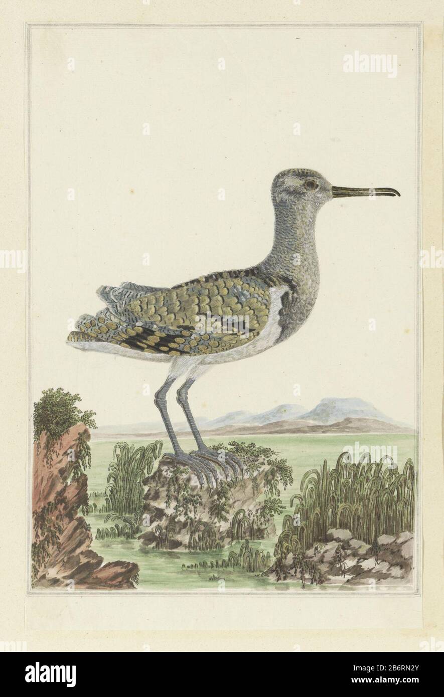 Goudsnip (Rostratula benghalensis) dans een gedetailleerd landschap Bird Study: Gold Snip (rostratula benghalensis) . Fabricant : artiste: Robert Jacob Gordon Date: Oct-1777 - mar-1786 Caractéristiques physiques: Stylo à encre, pinceau à aquarelle dans les couleurs, finition de pinceau, pour crayon et craie noire, lignes de cadre multiples autour du matériel de performance: Papier finition crayon encre crayon crayons craies aquarelle technique: Stylo / pinceau taille: Album feuille: H 660 mm × W mmblad 480: H 387 mm (marge comprise). B × 252 mm (coupe irrégulière) Commentaires bécassine Peinte (Eng.) Banque D'Images