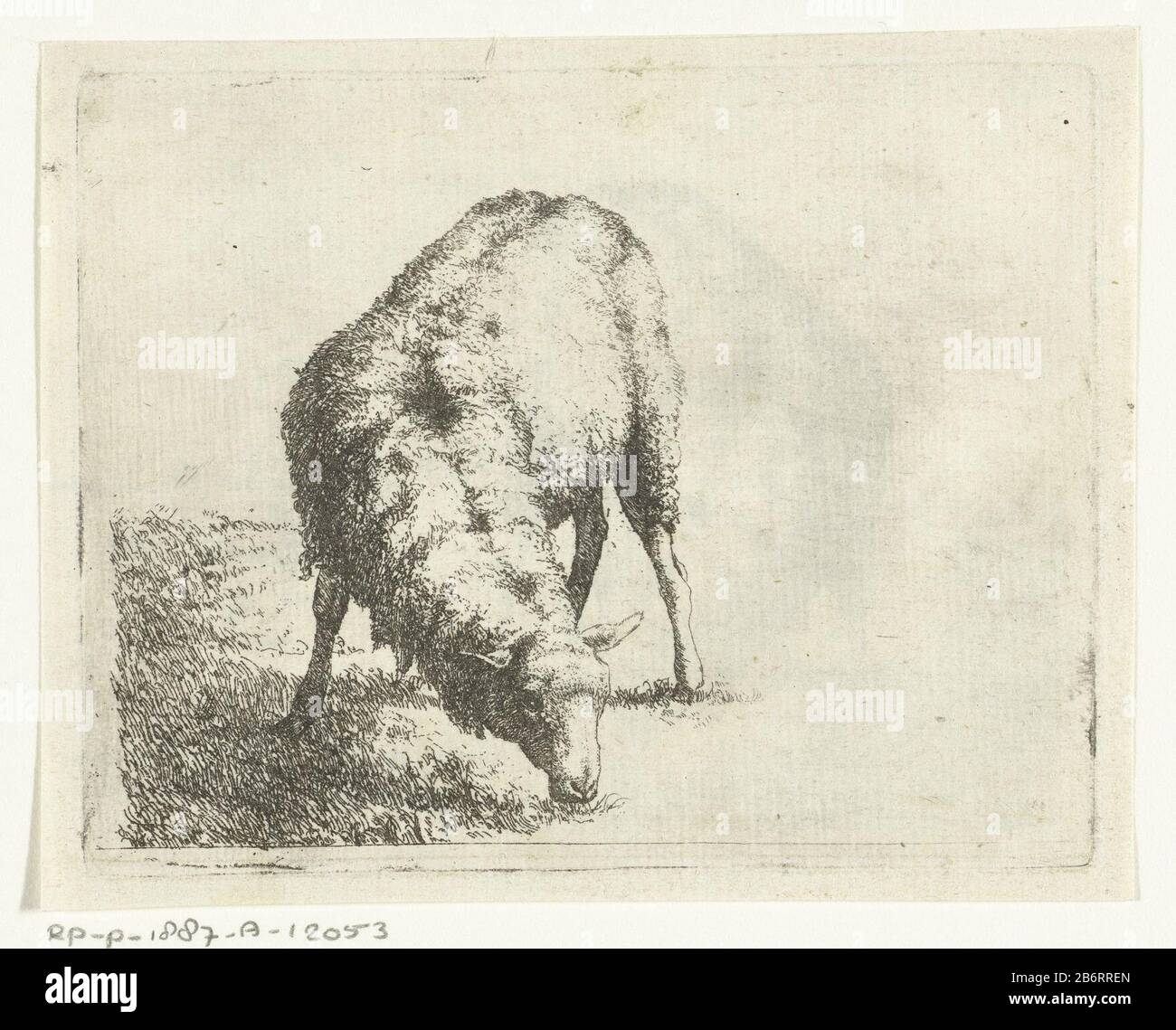 Grazend schaap, bij boomstronk copie, miroir, à la cinquième impression de la série brebis Marcus de Bye; au verso, un imprimé du même voorstelling. Fabricant : à imprimer par: Marcus The Byeprentmaker: Anonyme Date: 1677 - CA. 1850 Caractéristiques physiques: Matériau de gravure: Technique du papier: Dimensions de gravure: Bord de la plaque: H 86 mm × W 109 mm Objet: Mouton Banque D'Images