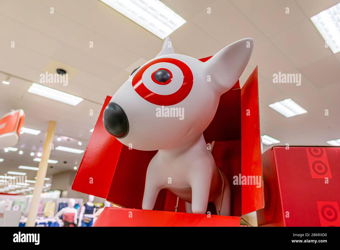 Cambridge ma USA - vers mars 2020 - chien cible dans Target Store Banque D'Images