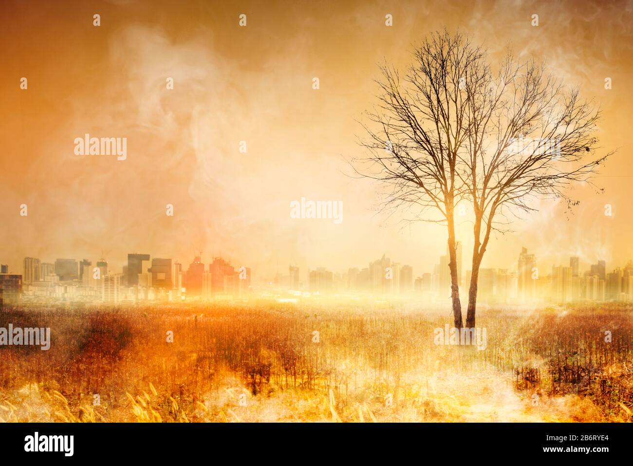 Feu de forêt, feu de forêt, forêt brûlante dans la fumée sur le fond de la ville. Banque D'Images