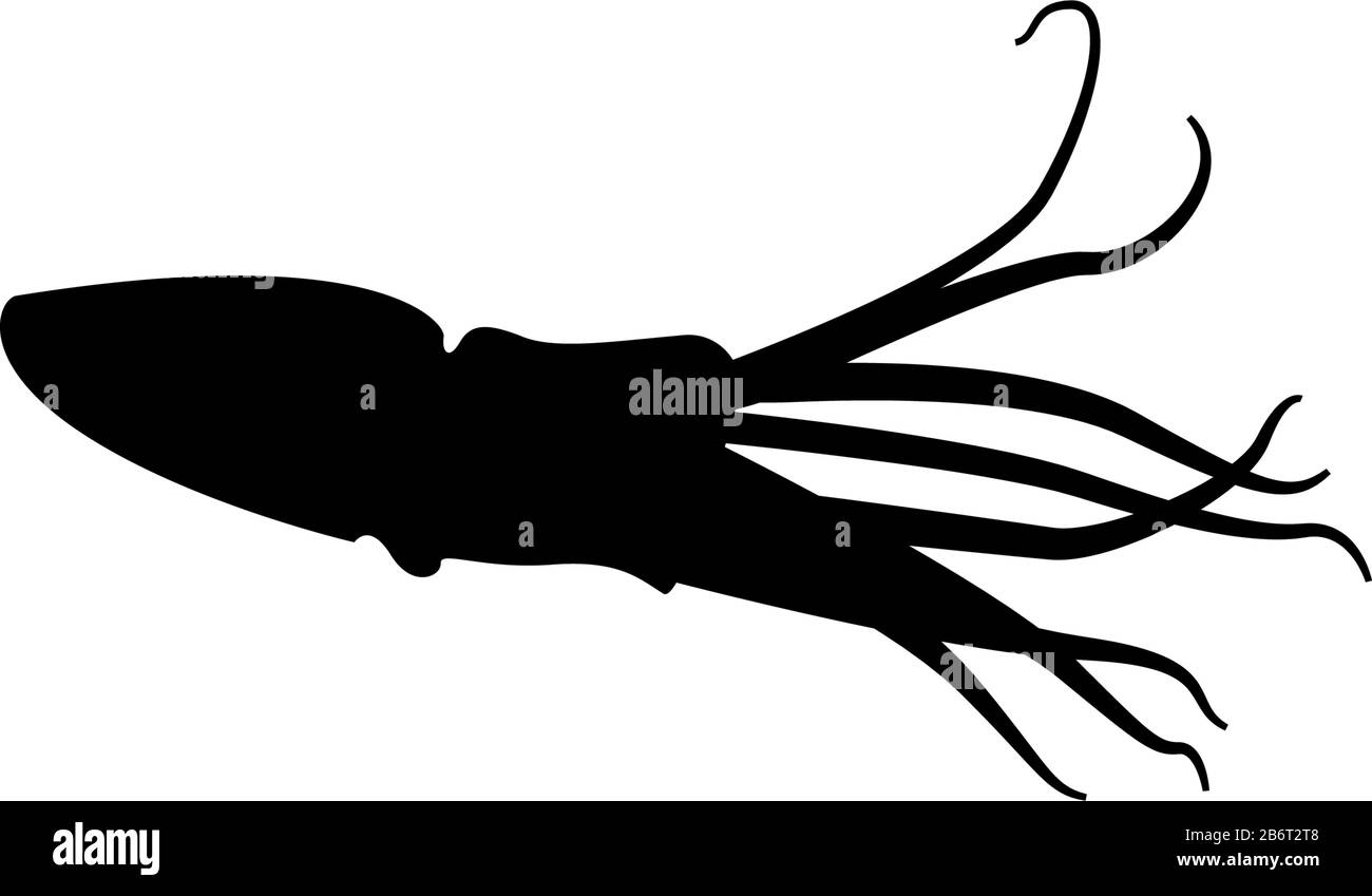 Vecteur de modèle de conception graphique SQUID isolé Illustration de Vecteur