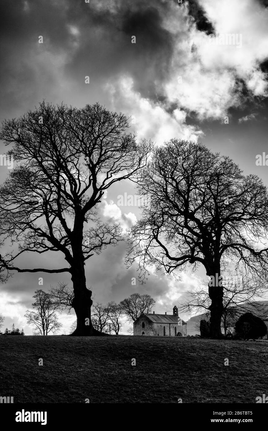 Église Saint-Ninian et arbres d'hiver. Lamington, Lanarkshire du Sud, frontières écossaises, Écosse. Noir et blanc Banque D'Images