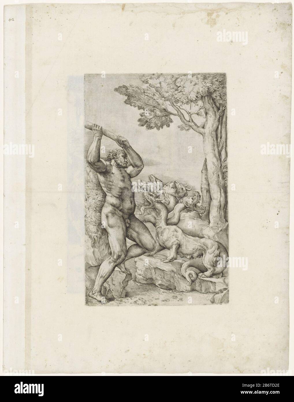 Hercules in gevecht met de Hydra van Lerna Hercules luttant contre l'Hydra de Lerna Type d'objet : album photo feuille Numéro d'article: RP-P-2001-201Catalogusorreferentie: Bartsch 39-1 (3) The Illustrated Bartsch 39 Inscriptions / Brands: Numéro, recto top left, manuscrit à l'encre brune '42'Watermerk Qui: L avec huit rayons A (Woodward, # 185.) (image) filigrane: Cercle de sirène sous la étoile à six points AB (Woodward, no 91-92.) (assemblage) Description: Hercules, avec club levé au-dessus de sa tête, luttant avec l'Hydra à six têtes de Lerna. Fabricant : printmaker Battista Franco Place fabrication: Venise D Banque D'Images