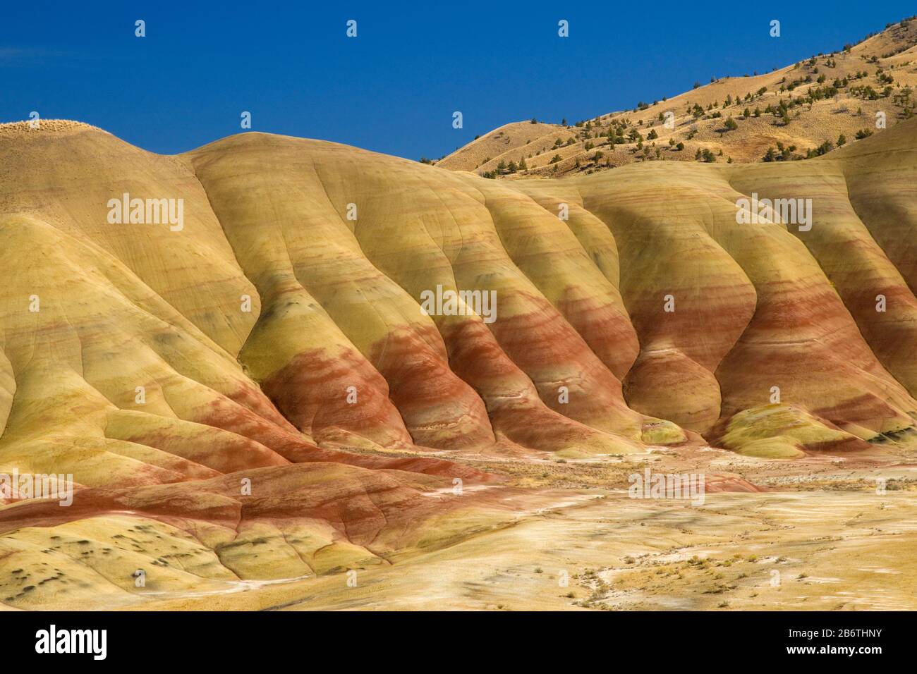 John Day Fossil Beds, Painted Hills Unit, Mitchell, Oregon États-Unis Banque D'Images