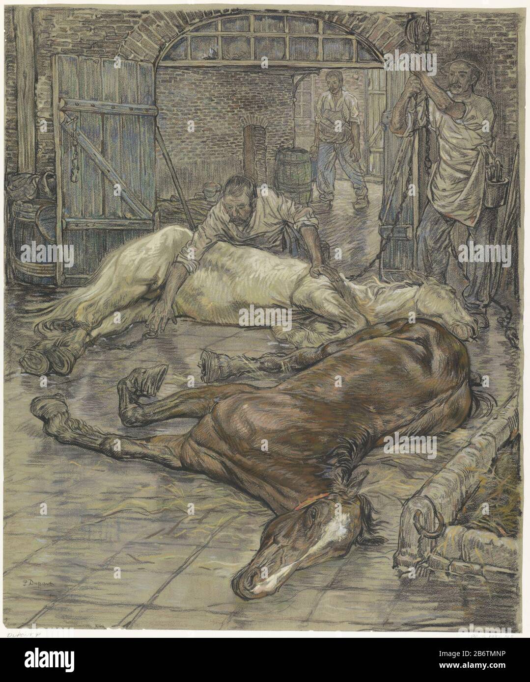 Het slachten van twee paarden l'abattage de deux chevaux type d'objet: Dessin Numéro d'objet: RP-T 1951-175 Fabricant : artiste: Pieter Dupont Date: 1880 - 1911 Caractéristiques physiques: Craie noire et colorée sur papier gris: Craie en papier Dimensions: H 639 mm × b 529 mm Objet: Boucherie, abattoir Banque D'Images