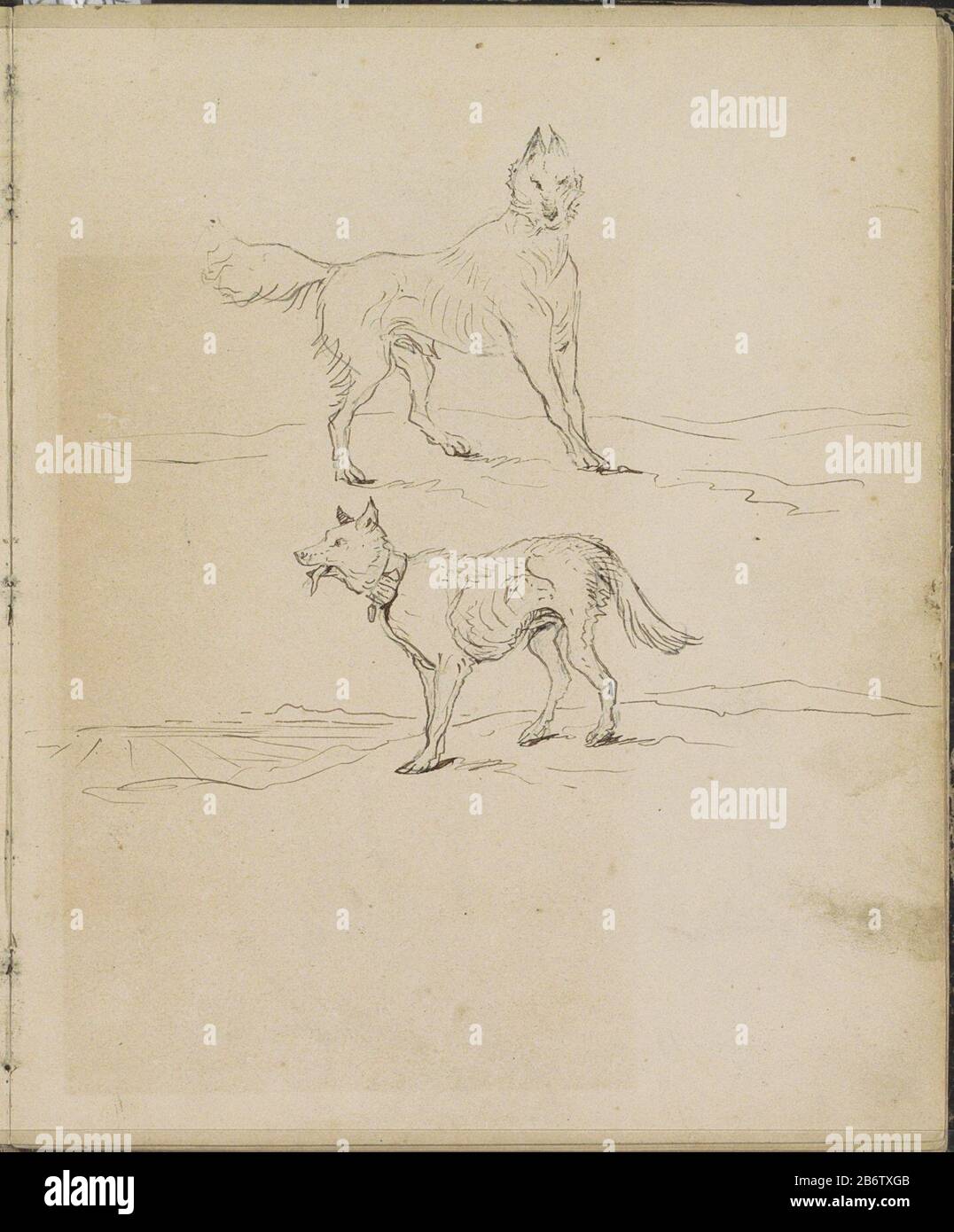 Honden Dog Property Type: Croquis de la feuille Numéro d'article: RP-T-1994-27-4 (R) Description: Lame 4 recto d'un croquis avec 87 bladen. Fabricant : illustrateur John Tavenraat Dating: 1841 - env 1853 Caractéristiques physiques: Crayon et stylo en matière marron: Crayon d'encre de papier technique: Stylo Sujet: Chien Banque D'Images