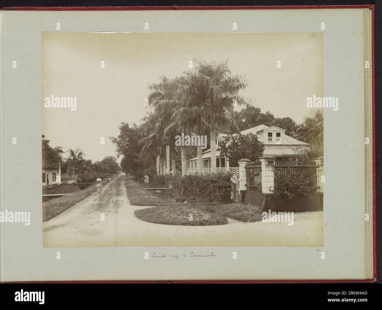 Partie de l'album avec enregistrements de revue où: Conditions en Europe, Trinidad, Haïti, Martinique et Suriname. Fabricant : Photographe: Julius Muller (éventuellement) Lieu de fabrication: Paramaribo Dating: CA. 1890 - ca. 1900 matériau: Papier technique: Albumen dimensions imprimées: Photo: H 203 mm × W 271 mm Objet: Voie ou voie de forêt de la route publique où large Combéweg Banque D'Images