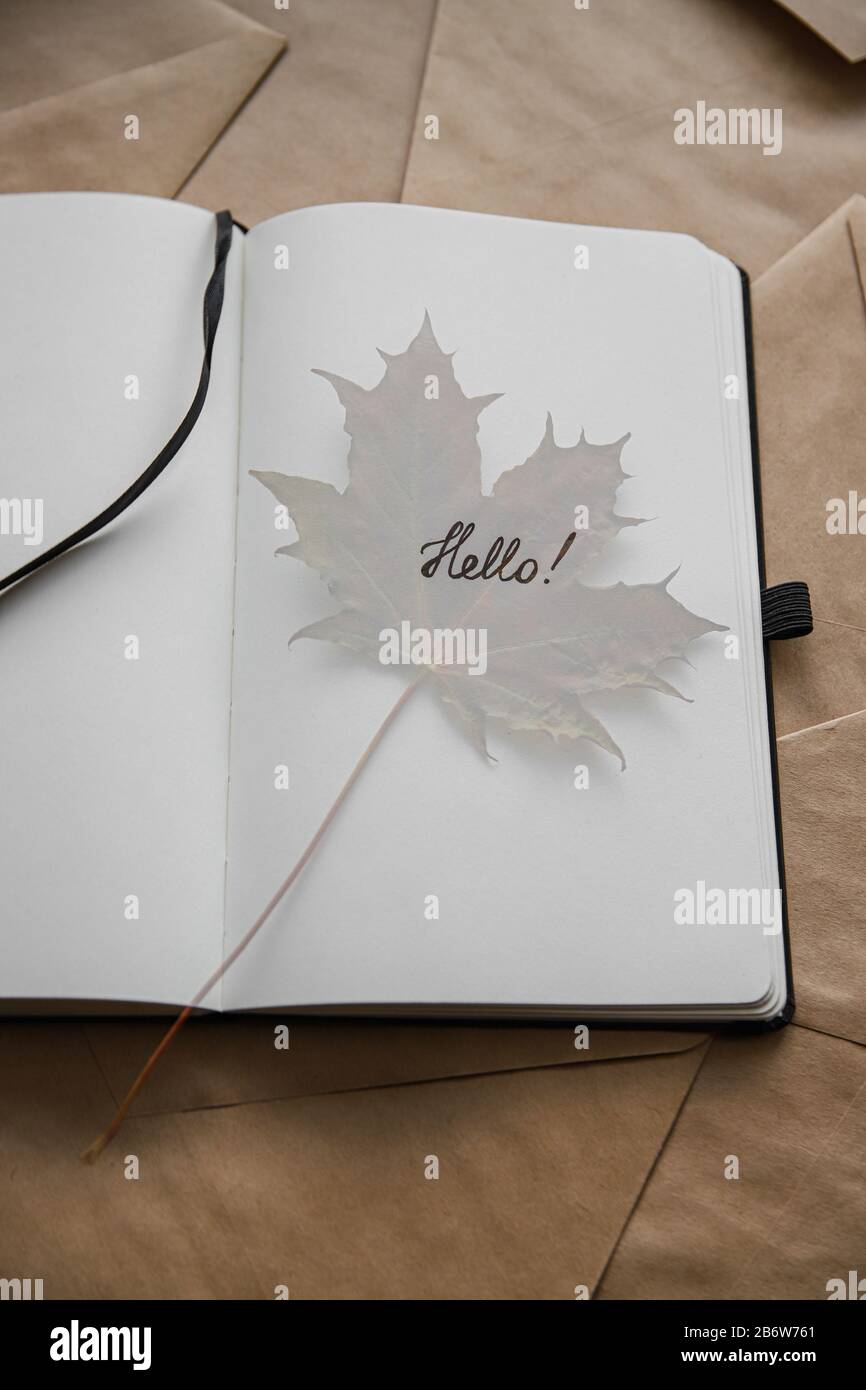 Le mot bonjour dans le bloc-notes et la feuille d'érable. Bonjour concept automne Banque D'Images
