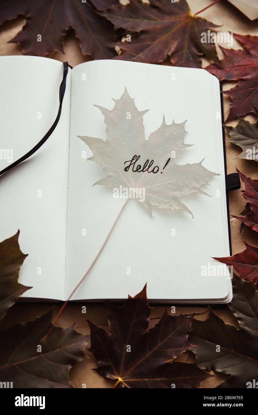 Le mot bonjour dans le bloc-notes et la feuille d'érable. Bonjour concept automne Banque D'Images