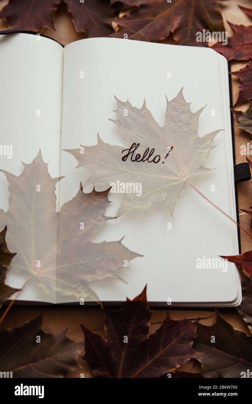 Le mot bonjour dans le bloc-notes et la feuille d'érable. Bonjour concept automne Banque D'Images