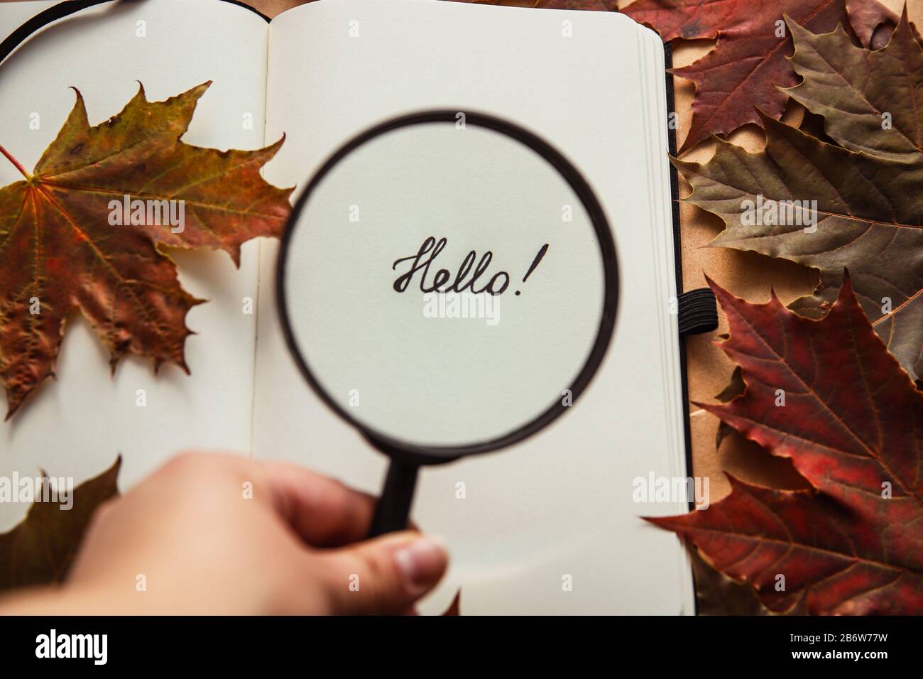 Quelqu'un augmente le mot Bonjour avec une loupe Banque D'Images