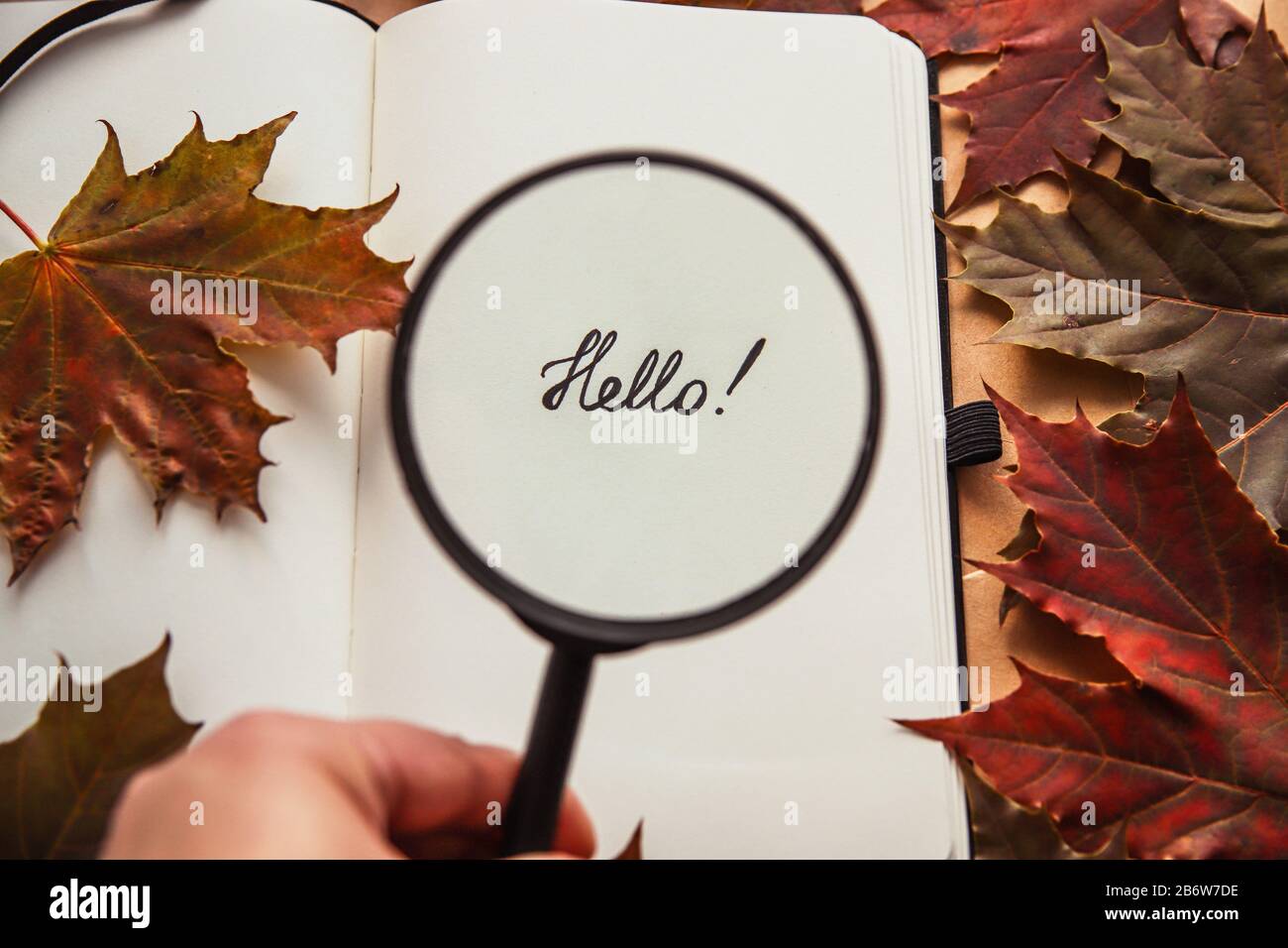 Quelqu'un augmente le mot Bonjour avec une loupe Banque D'Images