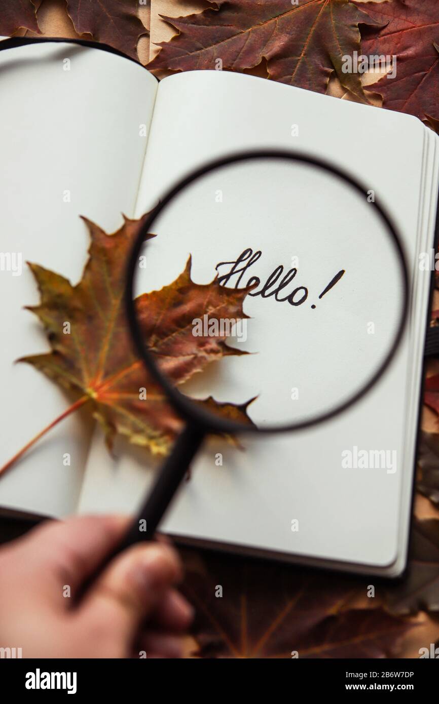 Quelqu'un augmente le mot Bonjour avec une loupe Banque D'Images