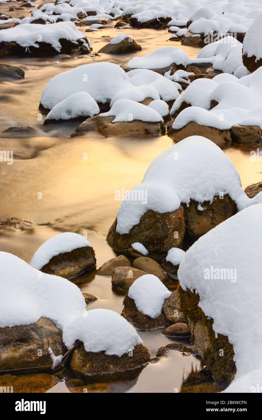 Pierres enneigées dans la rivière Urnaesch en hiver. Appenzell, Suisse Banque D'Images