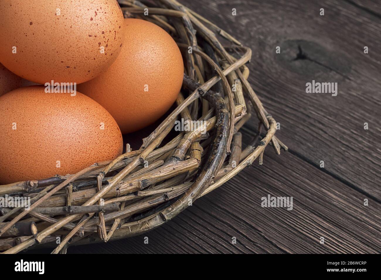 Gros plan d'œufs de poulet frais bruns dans un nid décoratif de brindilles sur une table rustique en bois avec espace de copie Banque D'Images