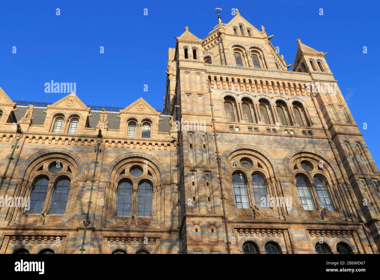 Gros plan sur l'extérieur du Natural History Museum de Kensington, Londres, Royaume-Uni. Il a été conçu par Alfred Waterhouse pour ressembler à une grande cathédrale. Banque D'Images