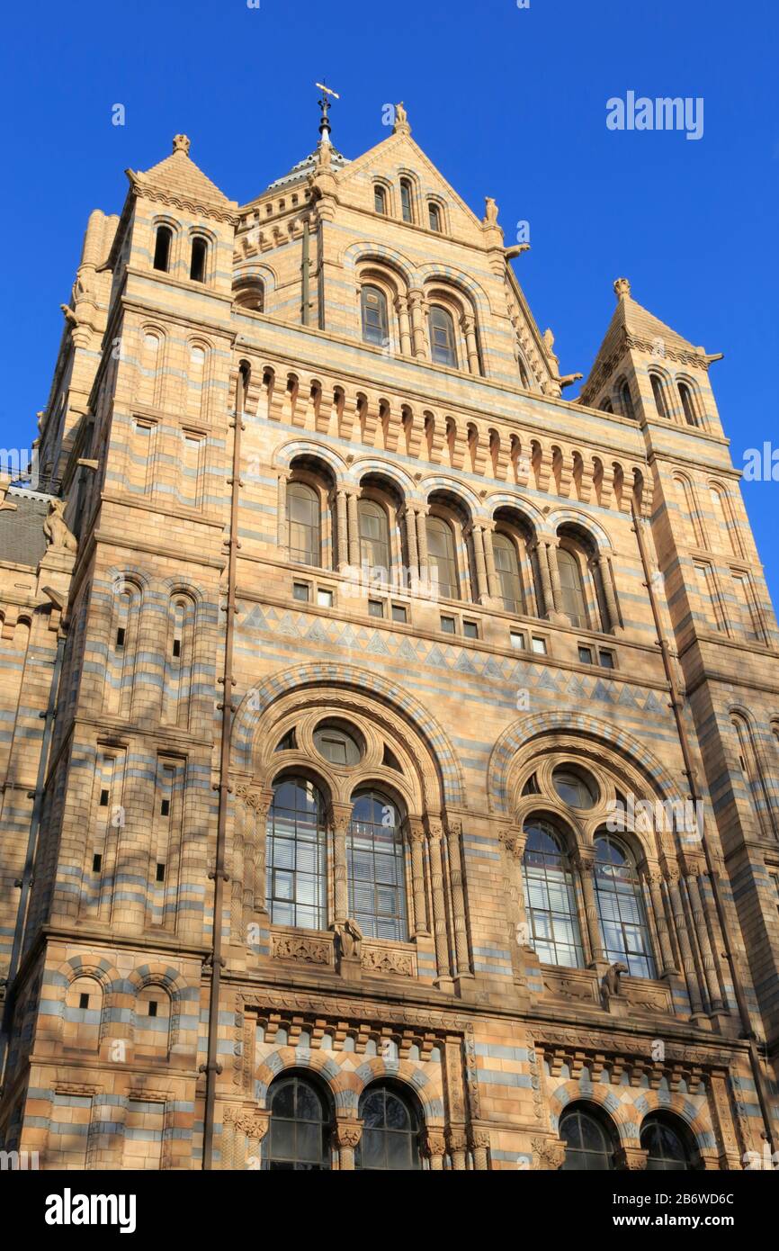 Détail architectural du Natural History Museum à South Kensington, Londres, Royaume-Uni. Alfred Waterhouse l'a conçu comme une cathédrale pour célébrer la nature. Banque D'Images