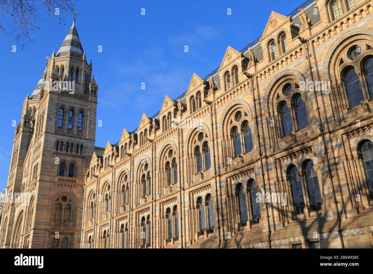 Façade extérieure et tour du Natural History Museum à South Kensington, Londres, Royaume-Uni. L'architecte Alfred Waterhouse l'a conçu comme une cathédrale. Banque D'Images
