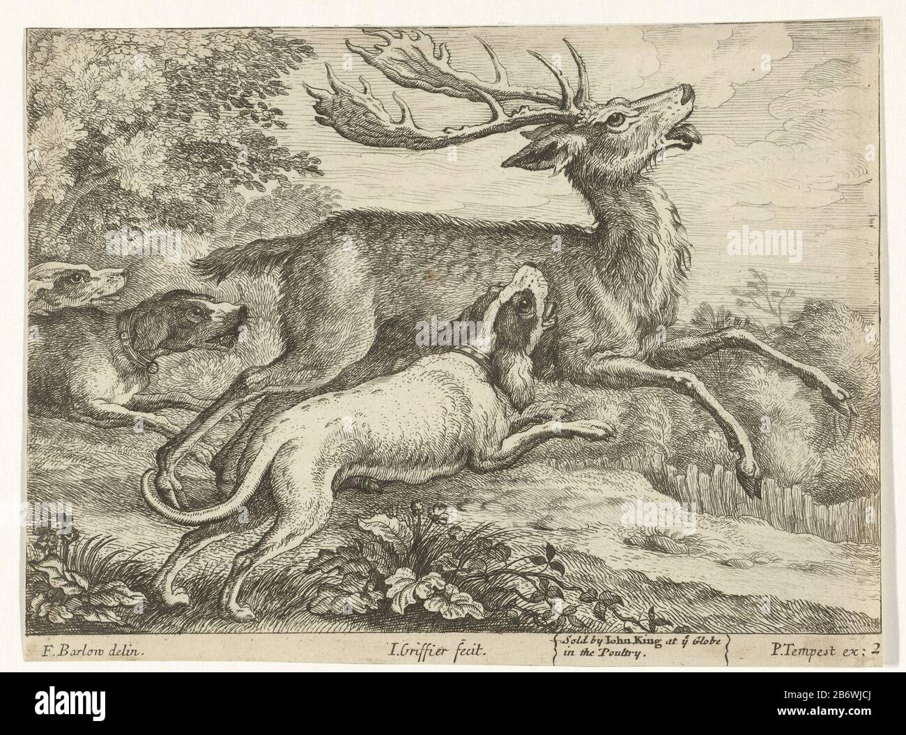 Jacht op een bert Verschillende dieren (servietitel) Trois chiens chassant un cerf dans une région boisée. Cette impression fait partie d'une série de dix tirages avec dieren différent. Fabricant : printmaker Jan Registraire (I) (bâtiment répertorié) dans le dessin: Francis Barlow (bâtiment répertorié) éditeur: Pierce Tempest (propriété répertoriée) vendeur John King (bâtiment répertorié) Date: 1655 - 1718 Caractéristiques physiques: Gravure et engrange matériel: Technique du papier: Gravure / engrange (processus d'impression) Dimensions: Feuille: H 132 mm × W 172 mm Objet : animal à accrochage Banque D'Images