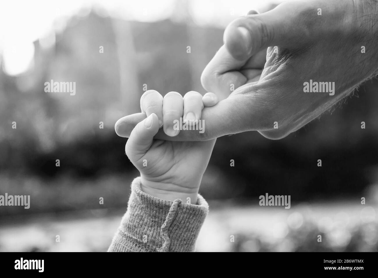 Un bébé tenant le doigt de l'homme tout en marchant dans un parc. Gros plan, noir et blanc, mise au point sélective Banque D'Images