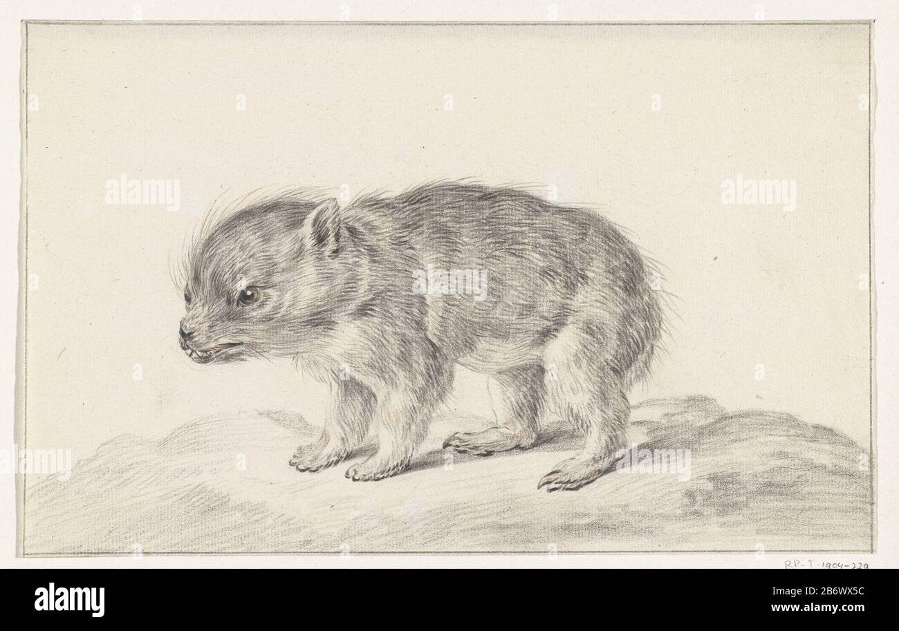 Jong beertje Young Bear Property Type: Dessin Numéro d'objet: RP-T 1904-229 Fabricant : artiste Jean Bernard Date: 1775 - 1833 Caractéristiques physiques: (?) crayon, noir et rouge craie: Crayon de papier craie Dimensions: H 176 mm b × 280 mm Objet: Bêtes de proie, animaux prédateurs: Ours droit et Banque D'Images