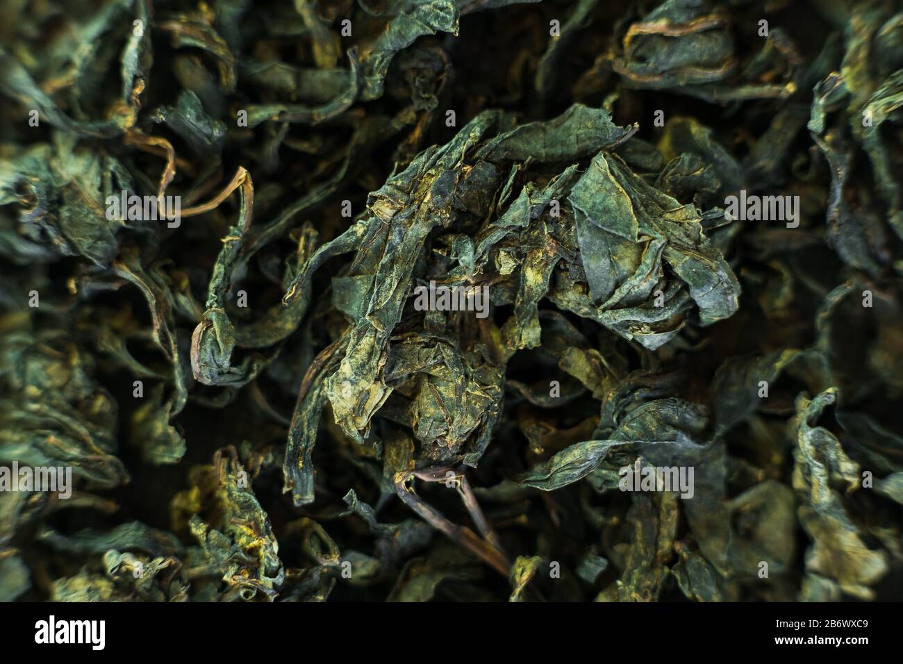 Gros plan feuilles de thé vert séchées tournant 360 vue du dessus. Banque D'Images