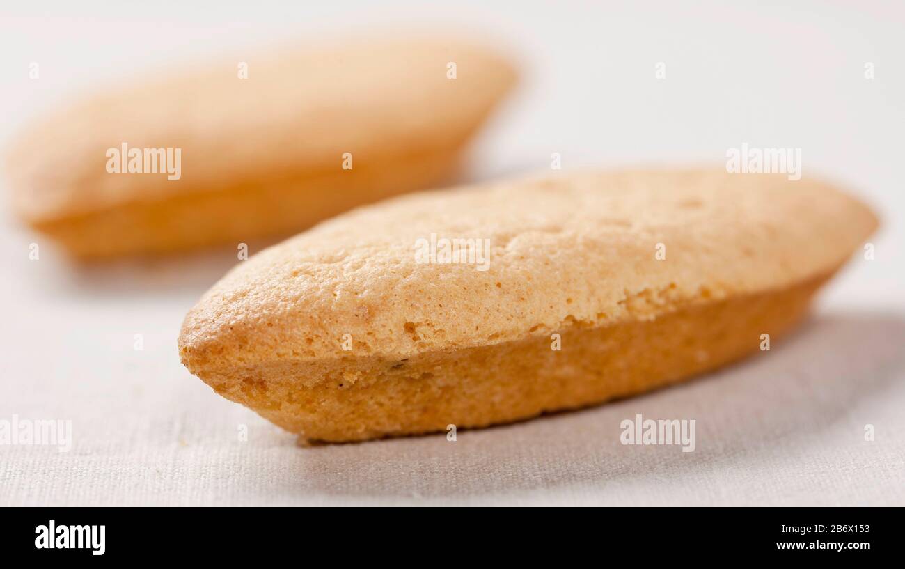 Budgerigar, Budgie (Melopsittacus undulatus). Biscuits pour perruches. Allemagne Banque D'Images