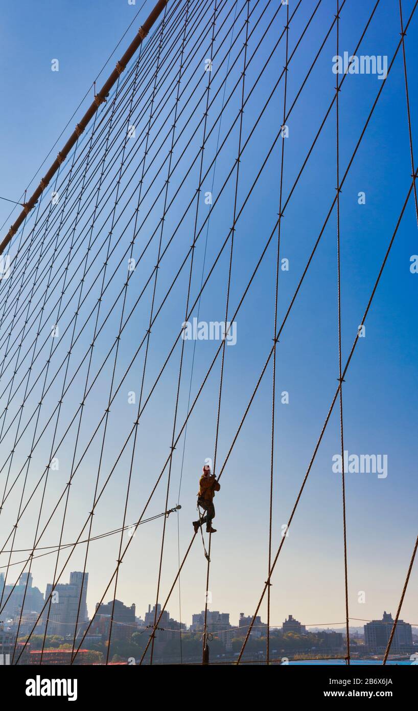 Un rigger travaille sur les câbles de suspension diagonal et les câbles de suspension verticaux sur Brooklyn Bridge, New York, New York State, États-Unis d'Amérique. Banque D'Images