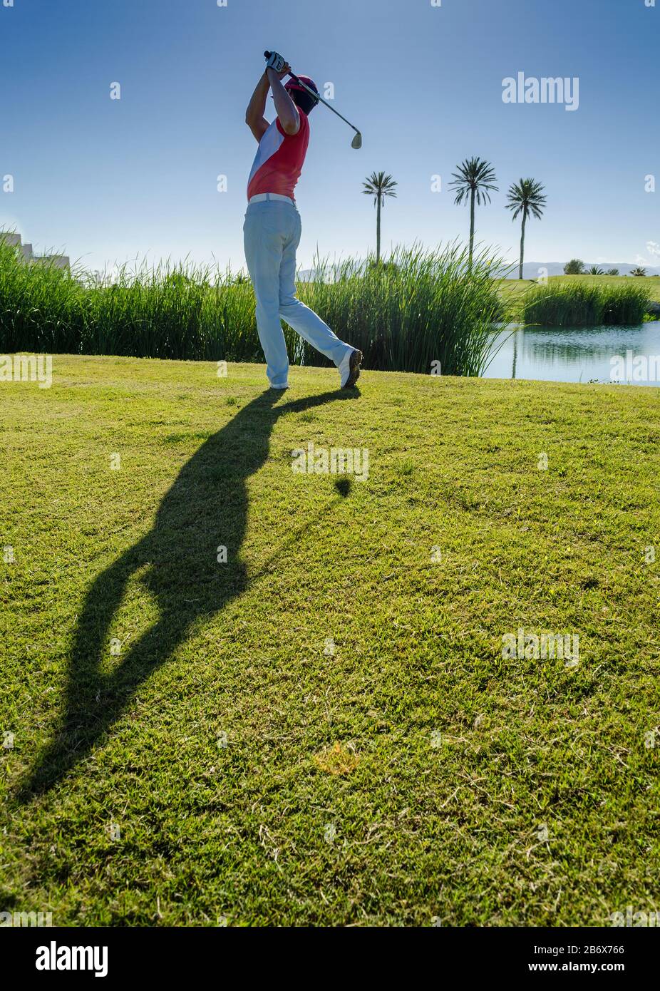 Balle de golf golfeur mise sur le green golf Banque D'Images