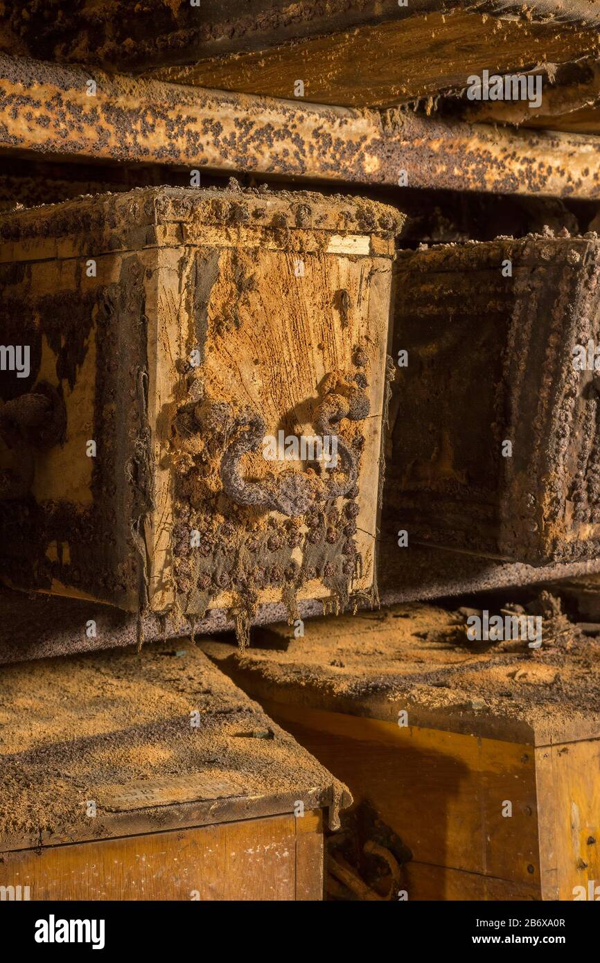 Les Cercueils étaient stockés dans les catacombes souterraines du Cimetière de Norwood Ouest au XIXe siècle et y restent maintenant. Banque D'Images