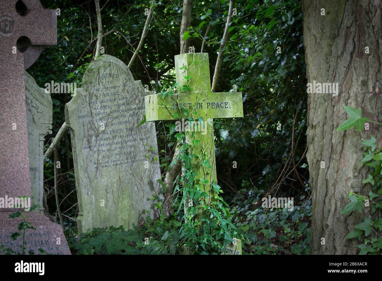 Tombes et monuments du cimetière de West Norwood qui fut utilisé pour la première fois en 1837. Banque D'Images