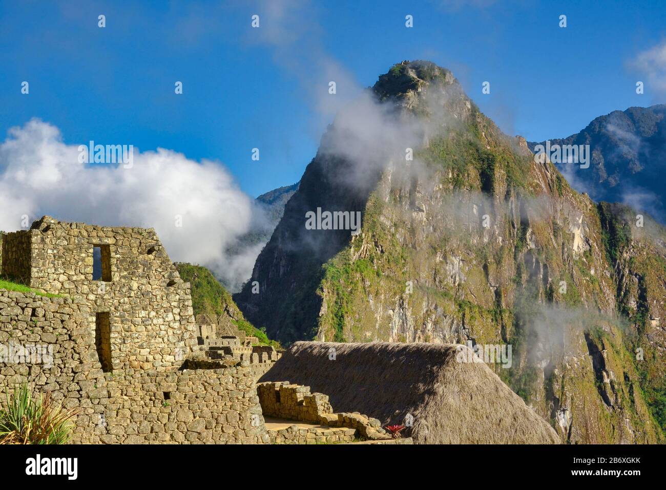 Vue rapprochée de la ville perdue d'Incan de Machu Picchu près de Cusco, au Pérou. Machu Picchu est un sanctuaire historique péruvien. Banque D'Images