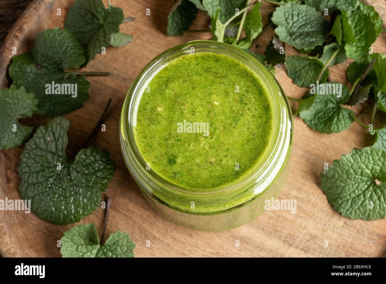 Un pot de pesto fait maison à partir de jeunes feuilles de moutarde à l'ail ou d'Alliaria petiolata - une plante comestible sauvage Banque D'Images