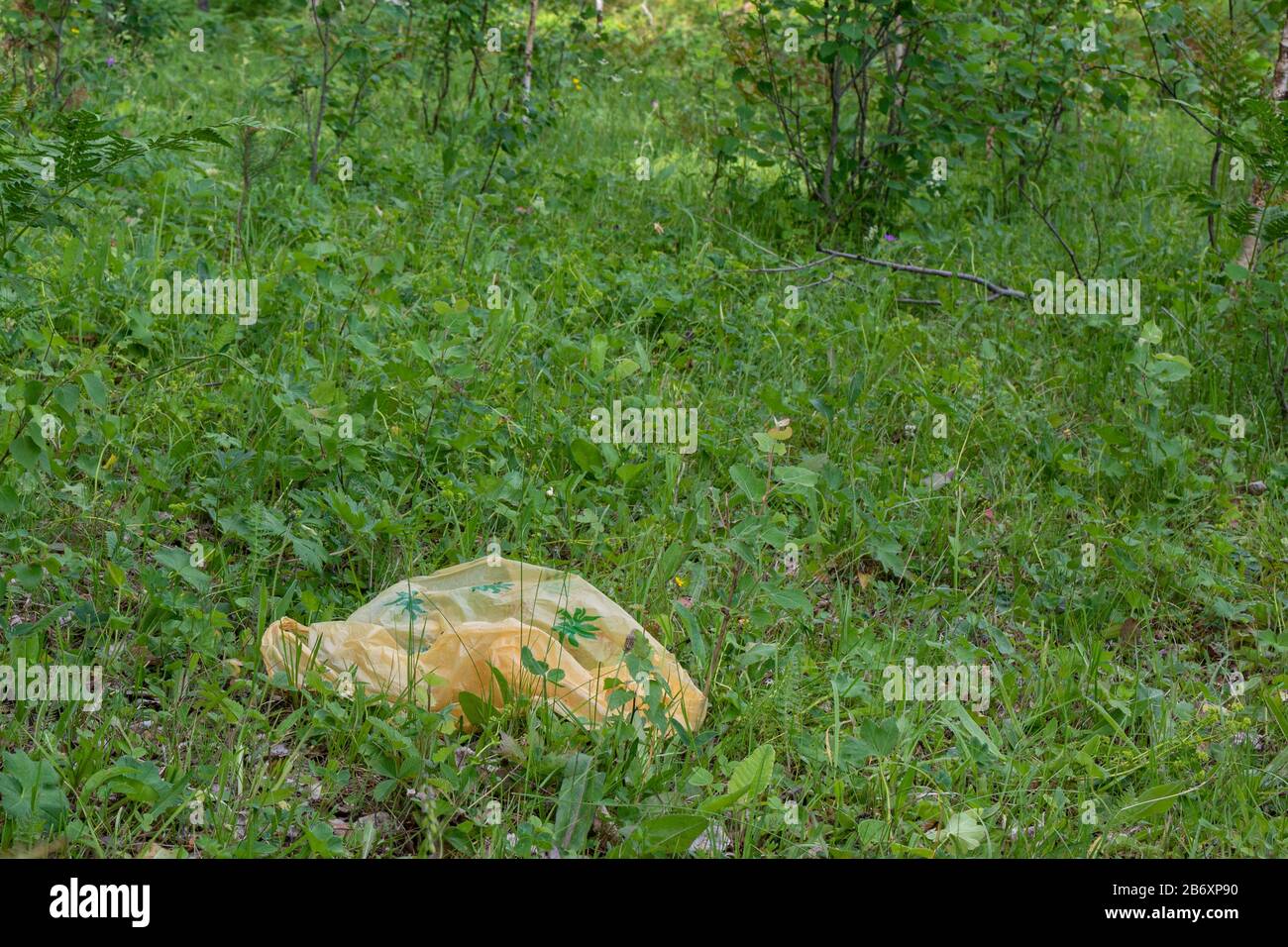 Ancien sac en plastique, déchets jetés sur l'herbe. Nettoyer la planète Terre, recueillir les ordures, éviter la pollution, sauver l'environnement. Banque D'Images