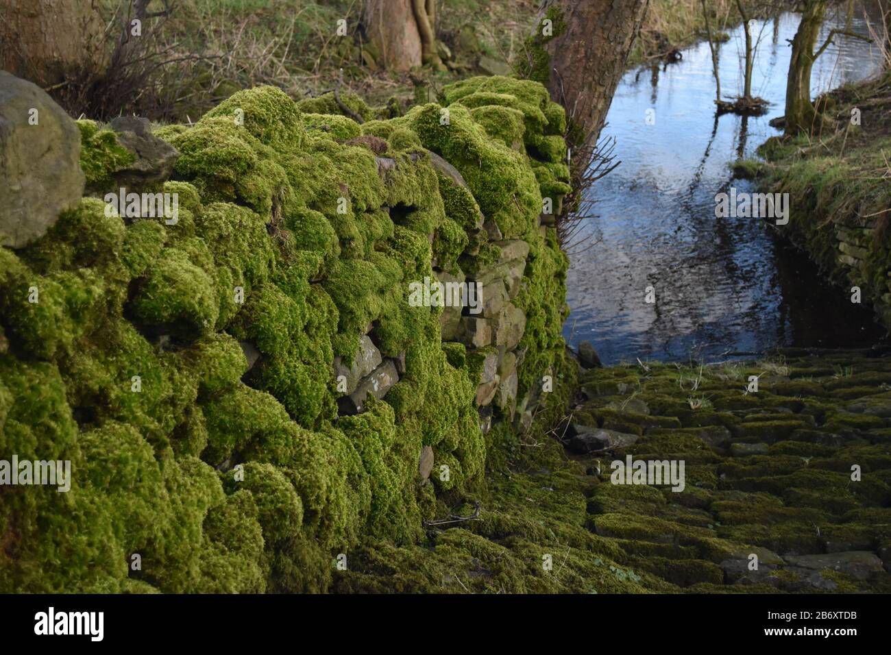 Mur en pierre recouvert de mousse verte Banque D'Images