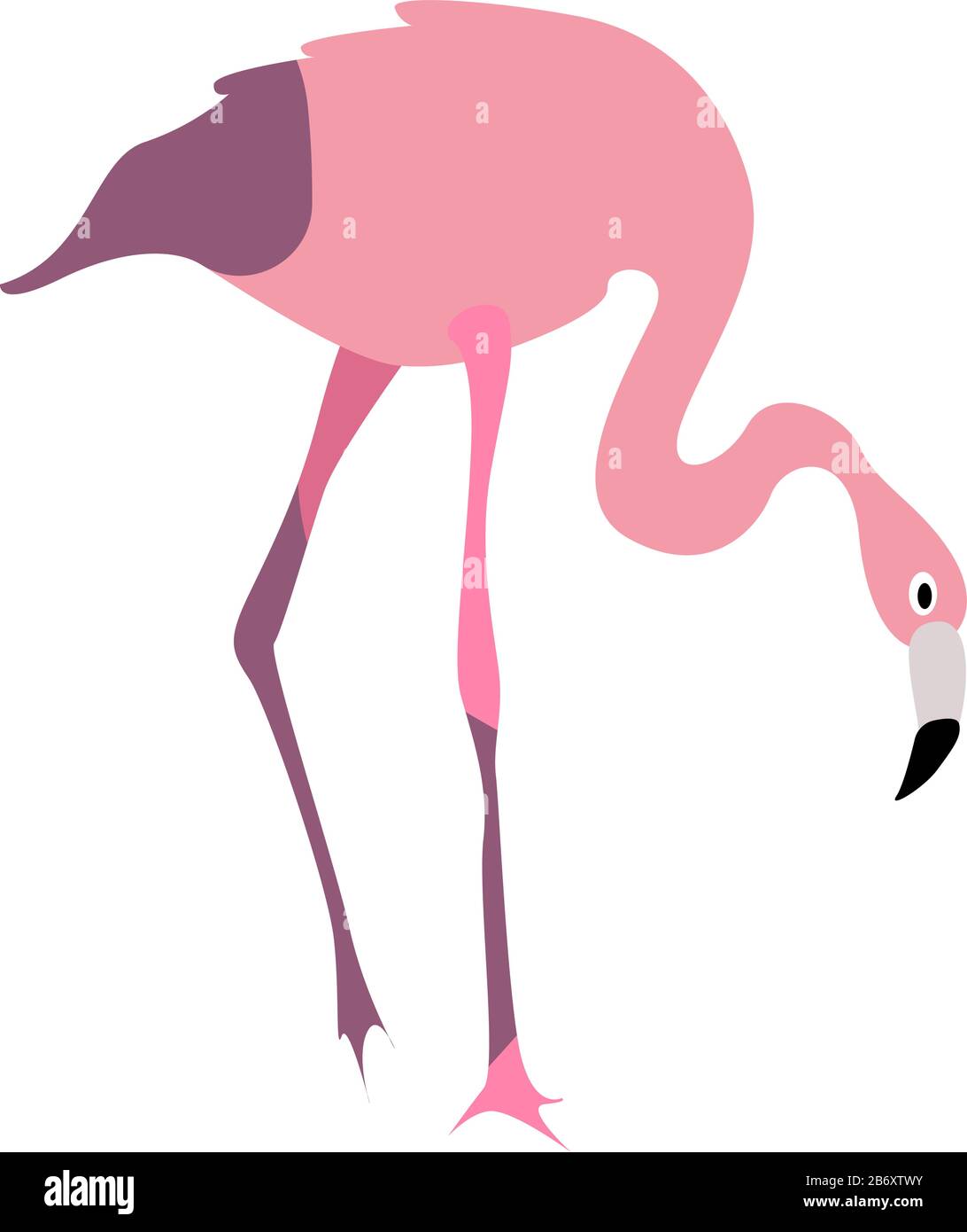Flamingo bird, illustration, vecteur sur fond blanc. Illustration de Vecteur